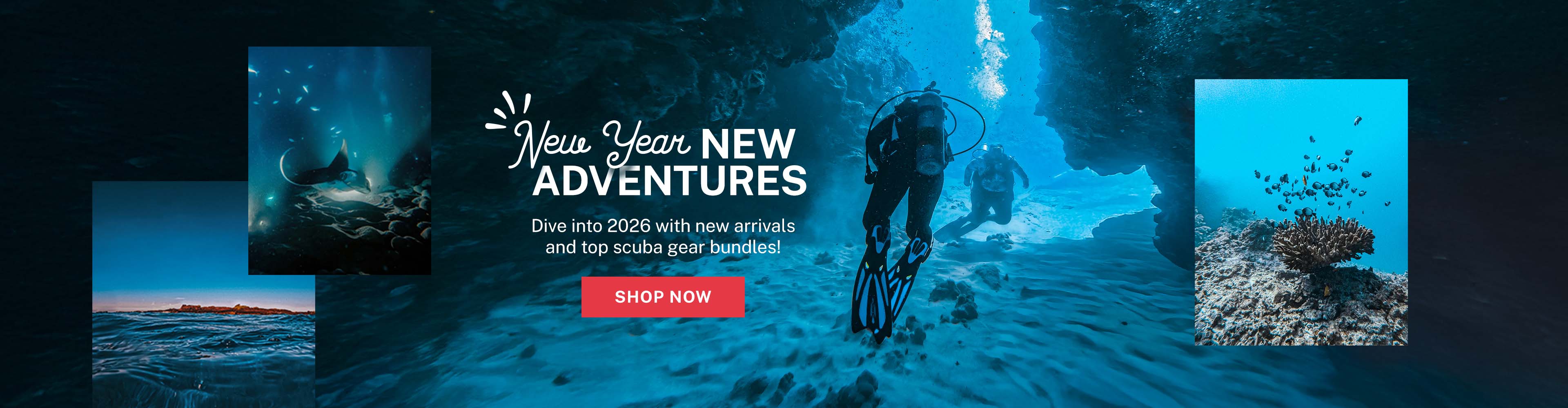 New Year, New Adventures