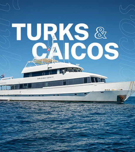 Turks & Caicos Liveaboard