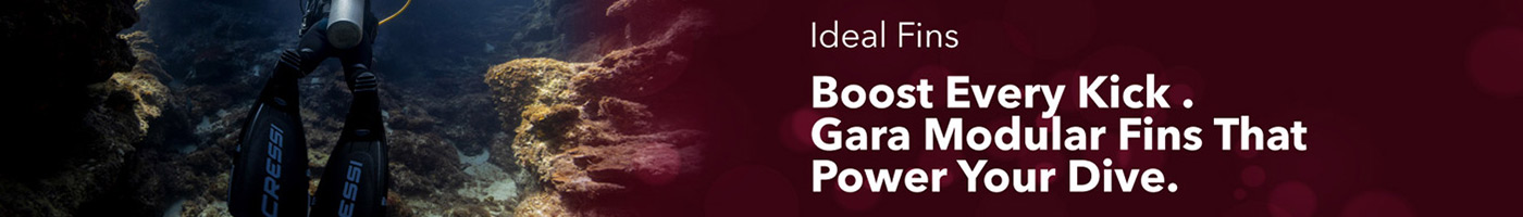Cressi Must-Have Fins