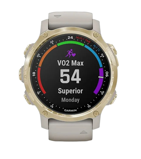 Garmin Descent MK2S Dive Smart Watch