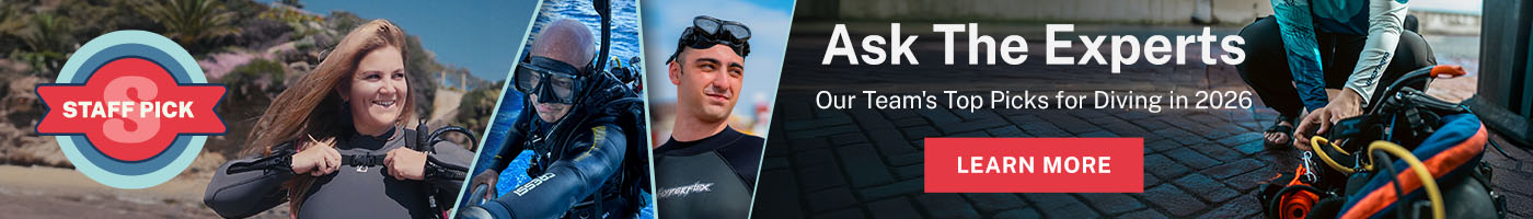 Staff Picks for 2026