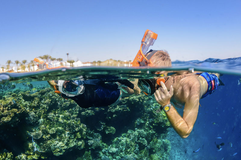 Full Face Snorkel Masks (FFSMs)