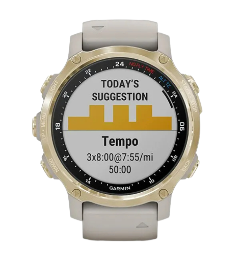 Garmin Descent MK2S Dive Smart Watch