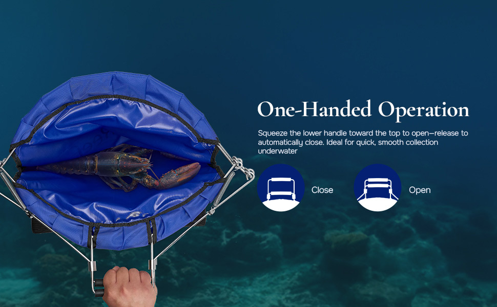 Blue Reef Lobster Fish Catch Gear