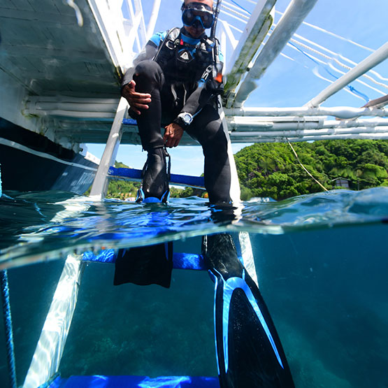 Interchangeable Blade Options