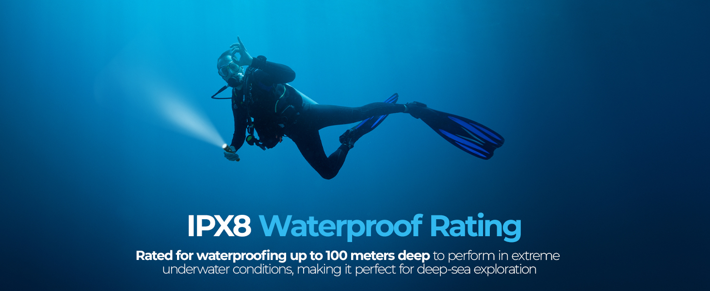 1200 dive light 