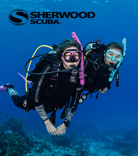 Sherwood Scuba | Wetsuit Promo