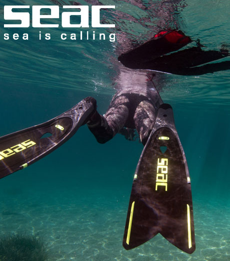 20% OFF SEAC | Limited Time Only!