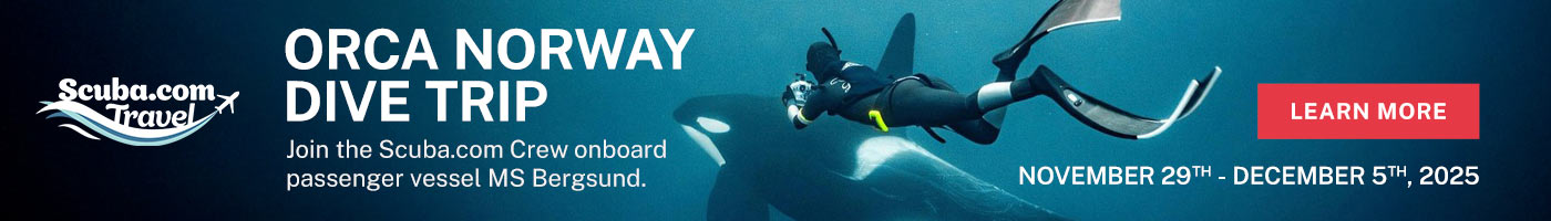 Orca Norway Trip | November 29 - December 5, 2025