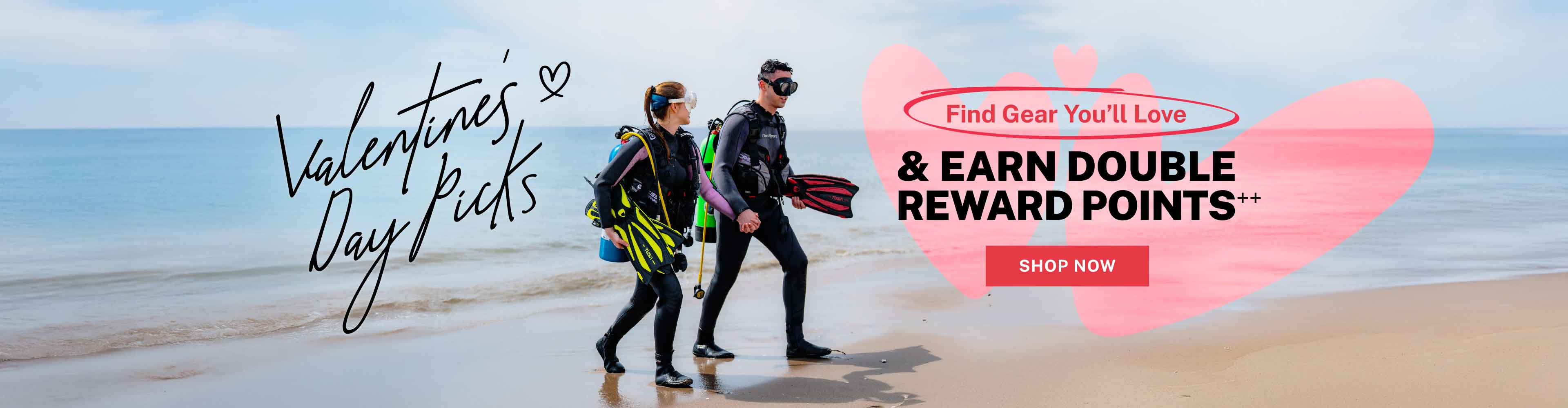 Valentine's Day Special