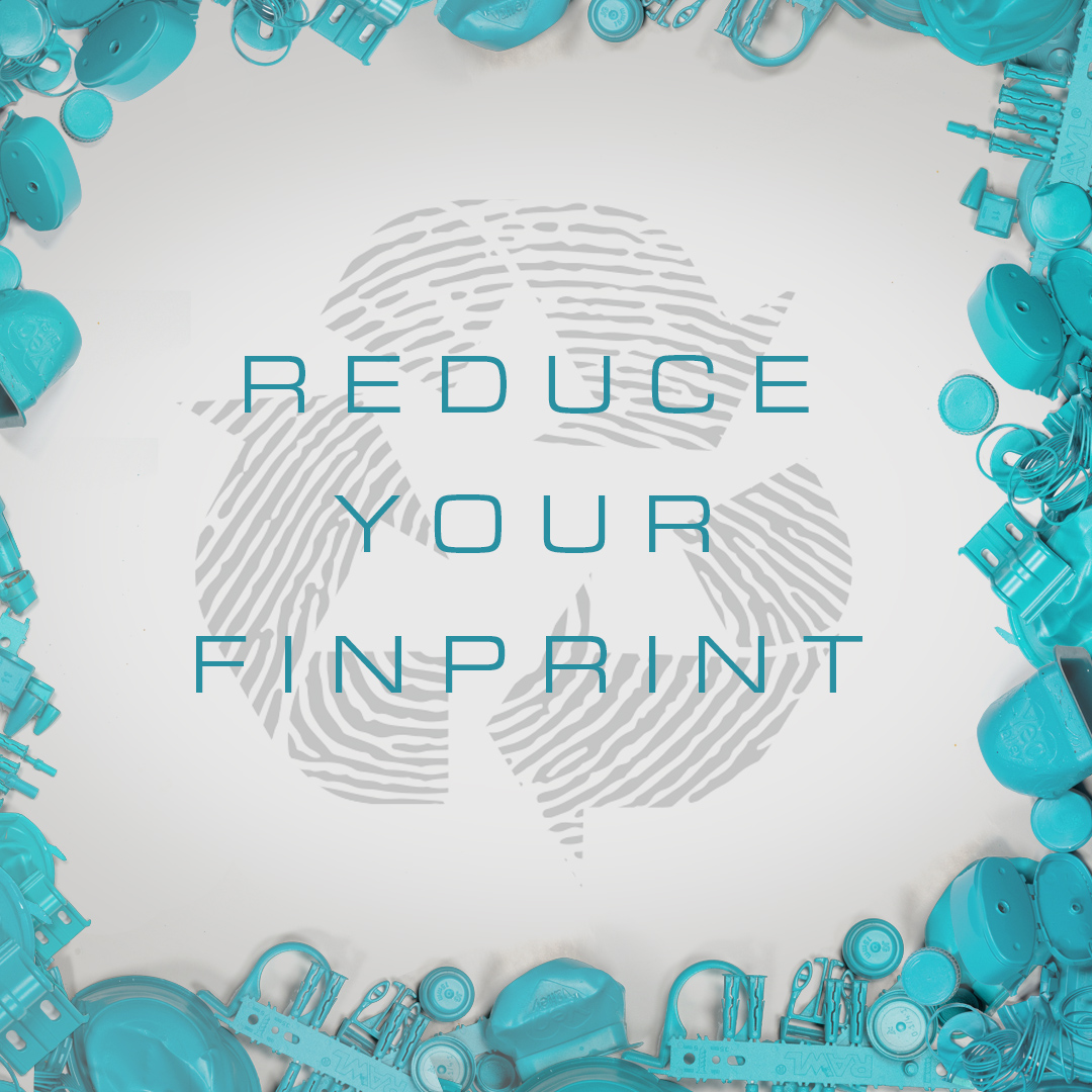 Fourth Element Rec FinPrint 