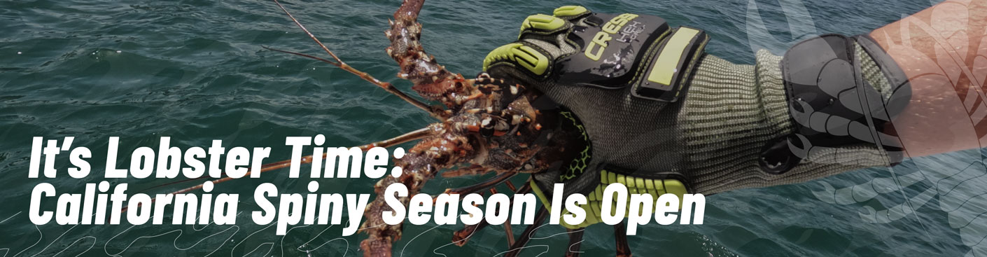 California Spiny Lobster Season