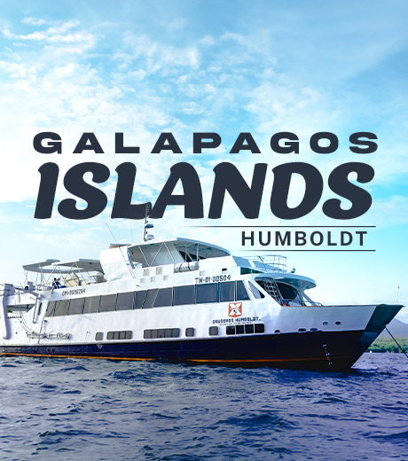 Galapagos Humboldt Liveaboard