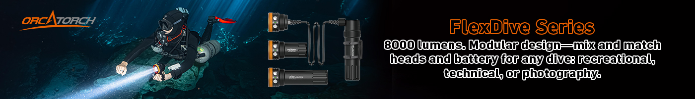 Flexdive Max 8000 Lumen Tech Light