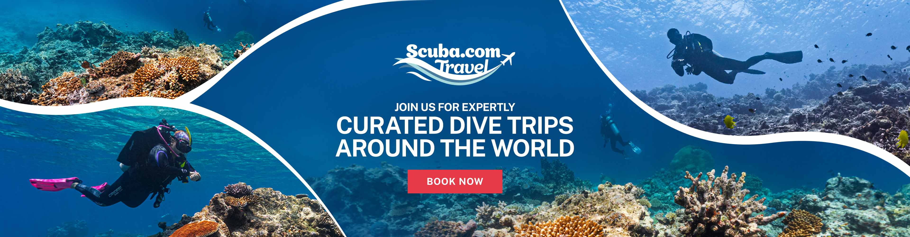 New Dive Trips Added for 2026!
