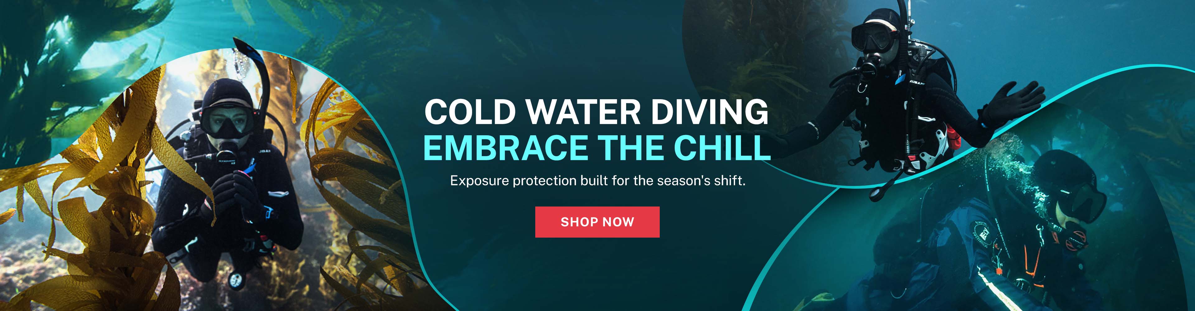 Cold Water Diving Guide
