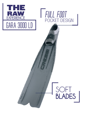GARA 3000