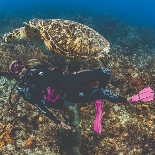 Scubapro Seawing Nova Open Heel Fins