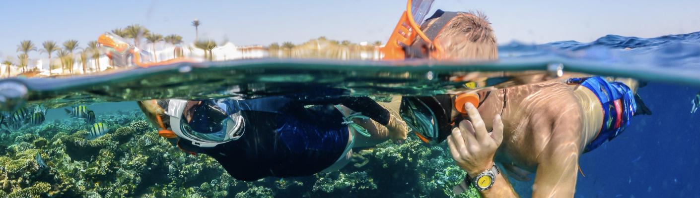 Snorkel Sets & Packages