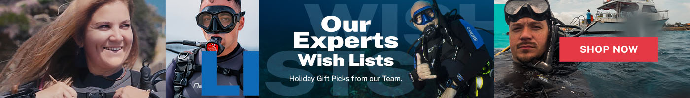 Our Experts' Holiday Wish Lists