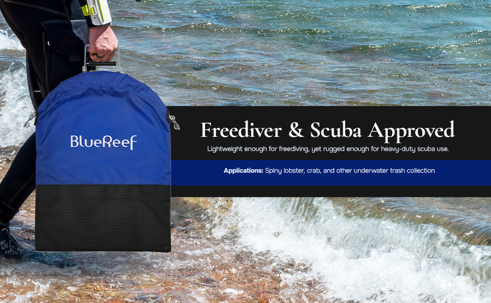 Blue Reef Lobster Fish Catch Gear