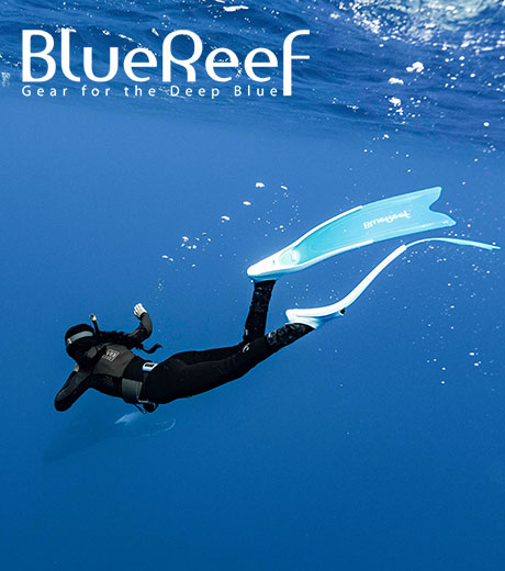 Blue Reef | Reliable Gear, Tailored for Her Dive.