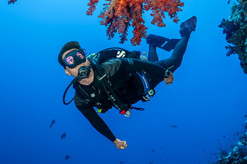 CUSTOMIZABLE FOR YOUR DIVE NEEDS