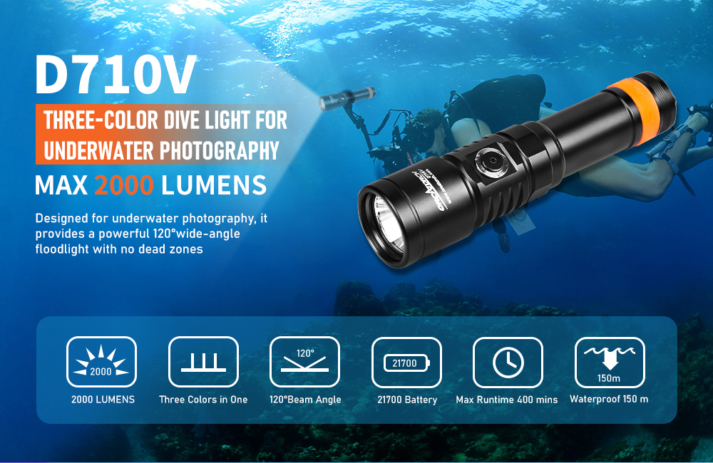 D710V Dive Light
