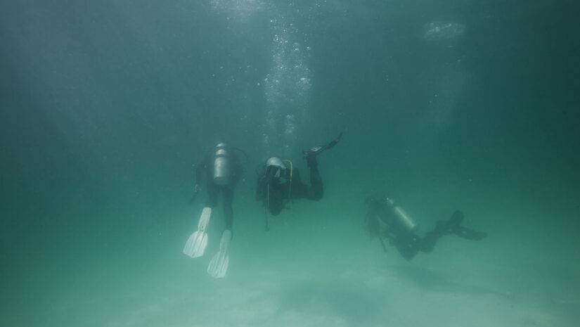 divers in low visibility waters