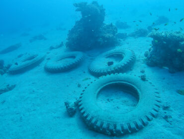 Dive the Osborne tire Reef in Florida - image via adobe stock