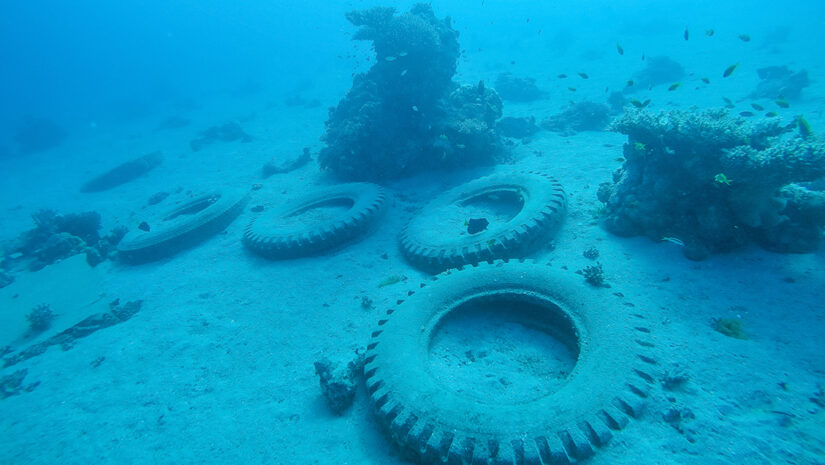 Dive the Osborne tire Reef in Florida - image via adobe stock