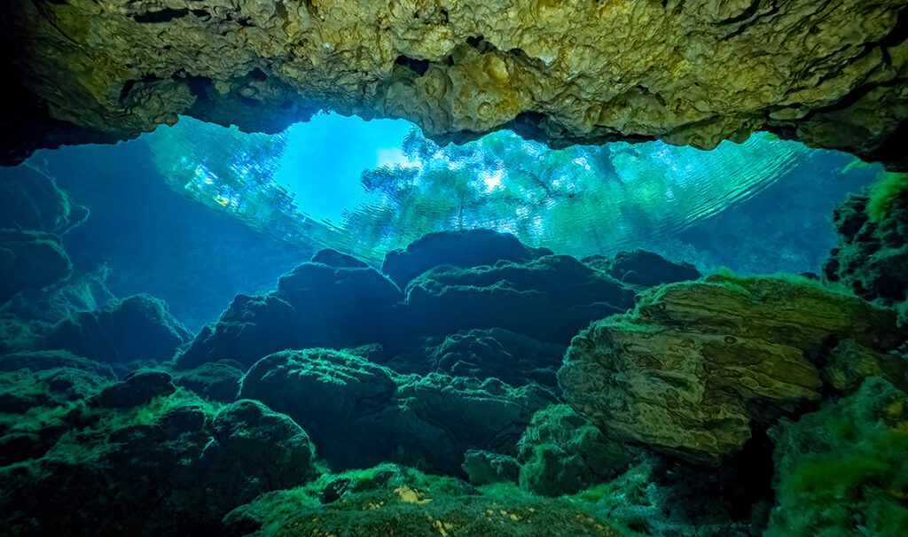Looking Out the Cave Entrance of Peacock Springs, Wes Skiles Peacock Springs State Park, Florida By Guy Bryant