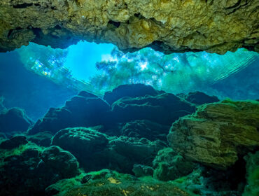 Looking Out the Cave Entrance of Peacock Springs, Wes Skiles Peacock Springs State Park, Florida By Guy Bryant