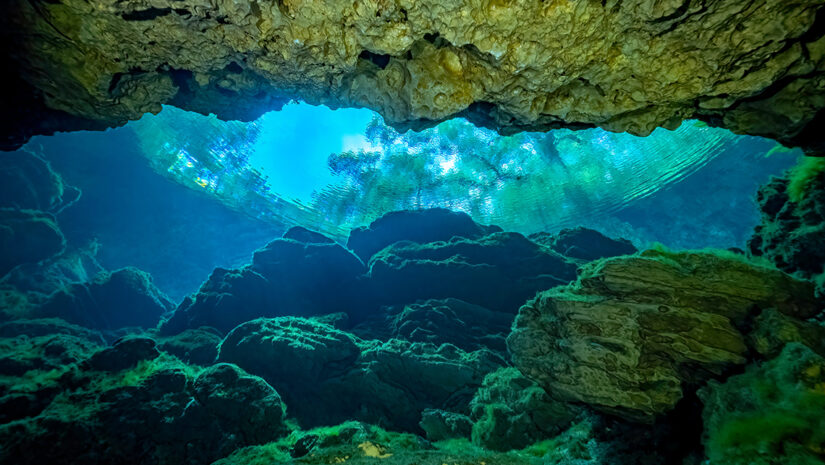 Looking Out the Cave Entrance of Peacock Springs, Wes Skiles Peacock Springs State Park, Florida By Guy Bryant