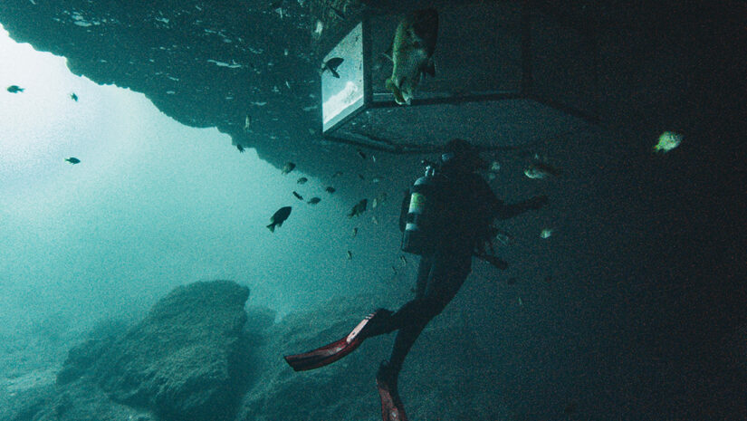 Dive the Blue Grotto Florida