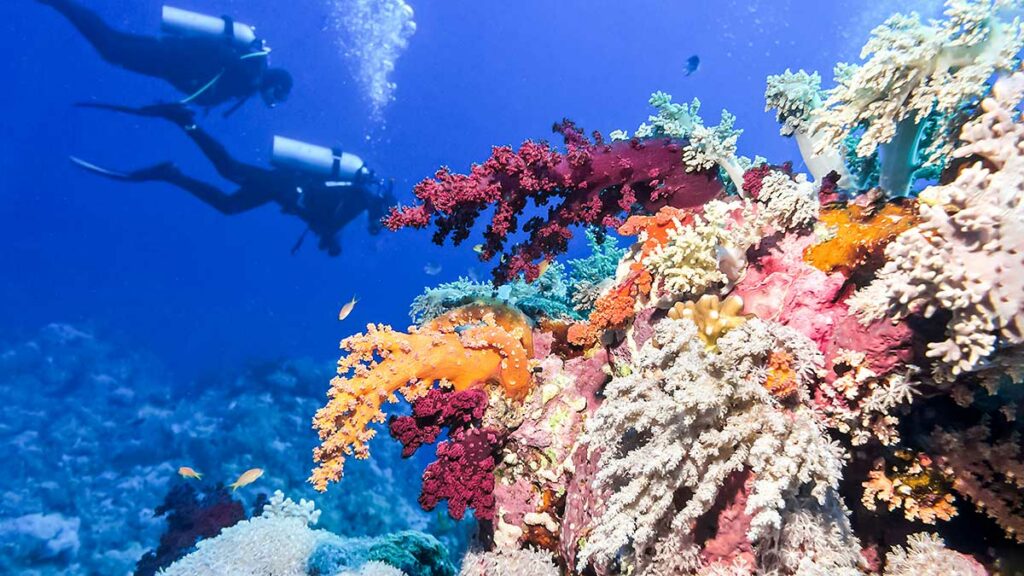 Belize Barrier Reef