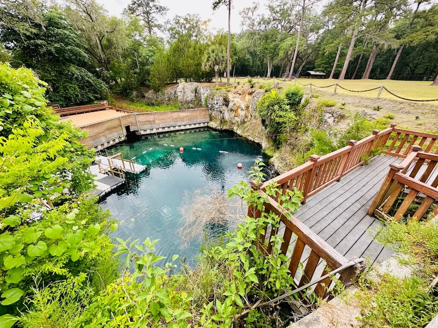 Lush woods surround the bright blue waters of the sinkhole and dive resort at Blue Grotto, Florida