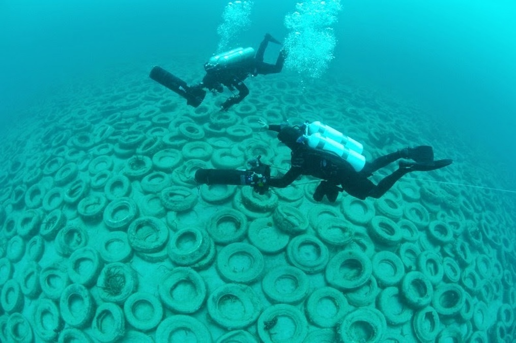 Osborne Tire Reef