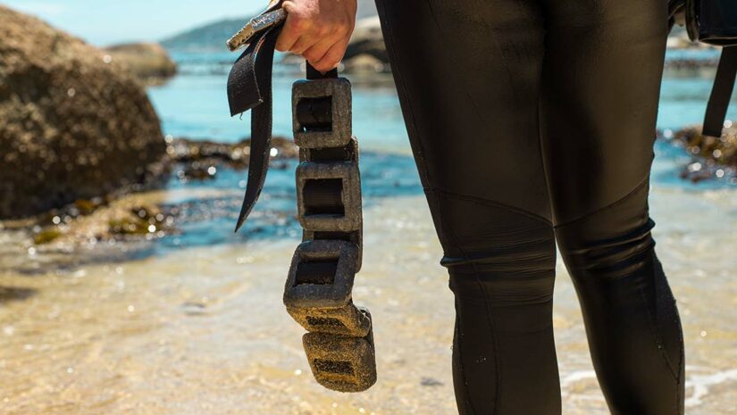 scuba dive weight belts