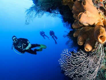 scuba divers doing wall dive by coral