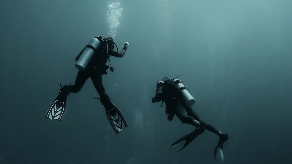 scuba rescue diver