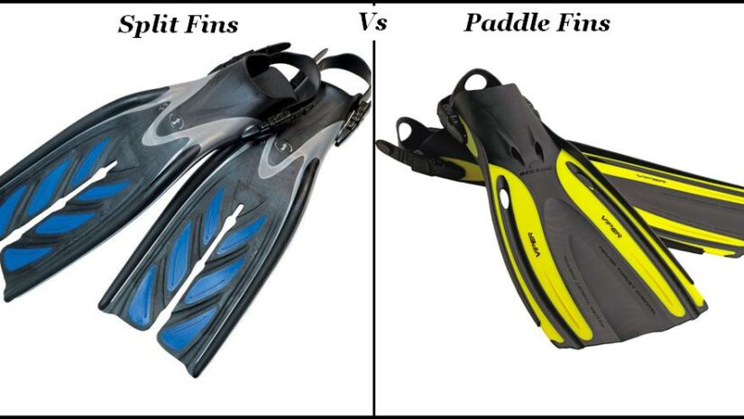 SCUBA Gear: Split Fins Vs Paddle Fins 