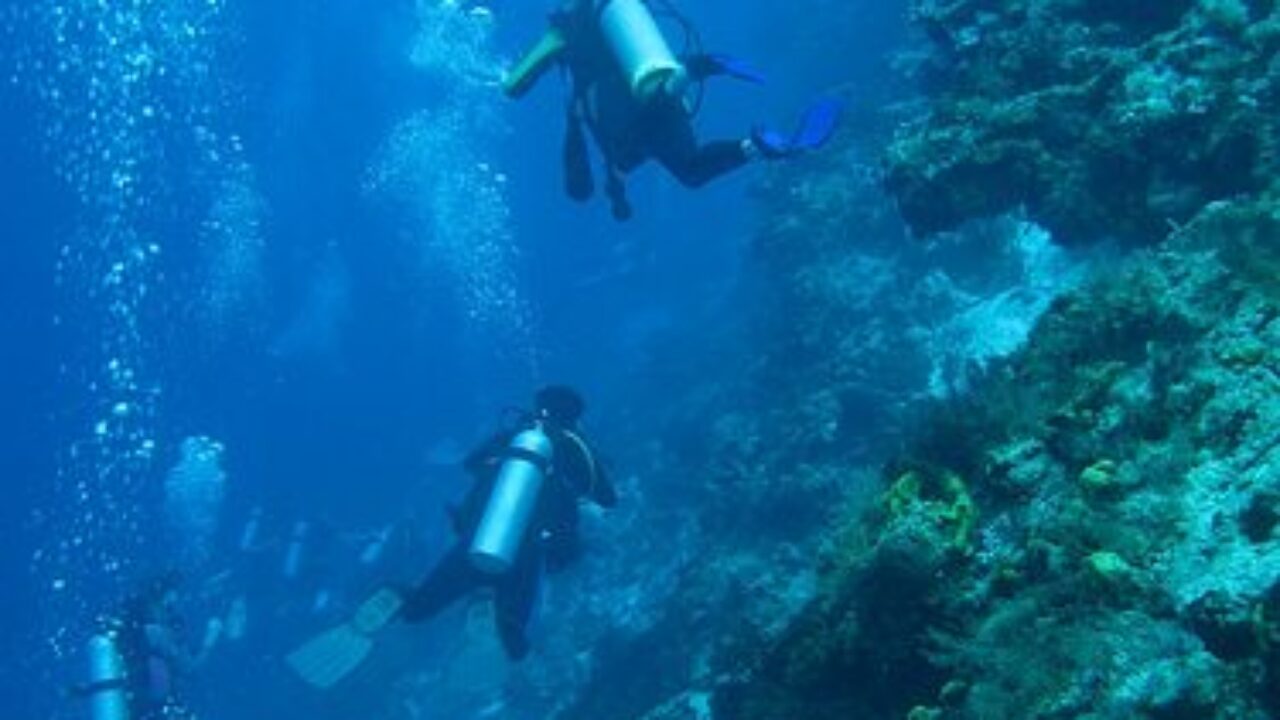 Introducir 71+ imagen best dive spots in cozumel Abzlocal.mx