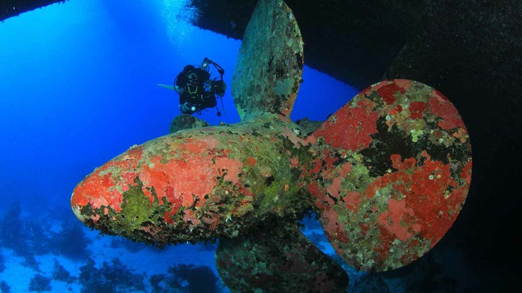 Salem Express shipwreck underwater in the red sea