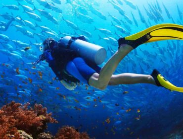 scuba diver swimming underneath schools of fish