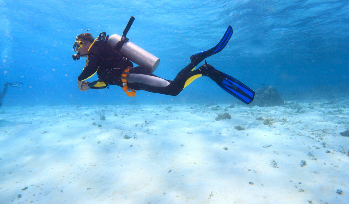Cressi Frog Plus Adjustable Open Heel Scuba Dive Fins