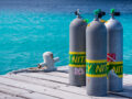 Diving with Nitrox vs Air: What's the Difference? - DeepDive