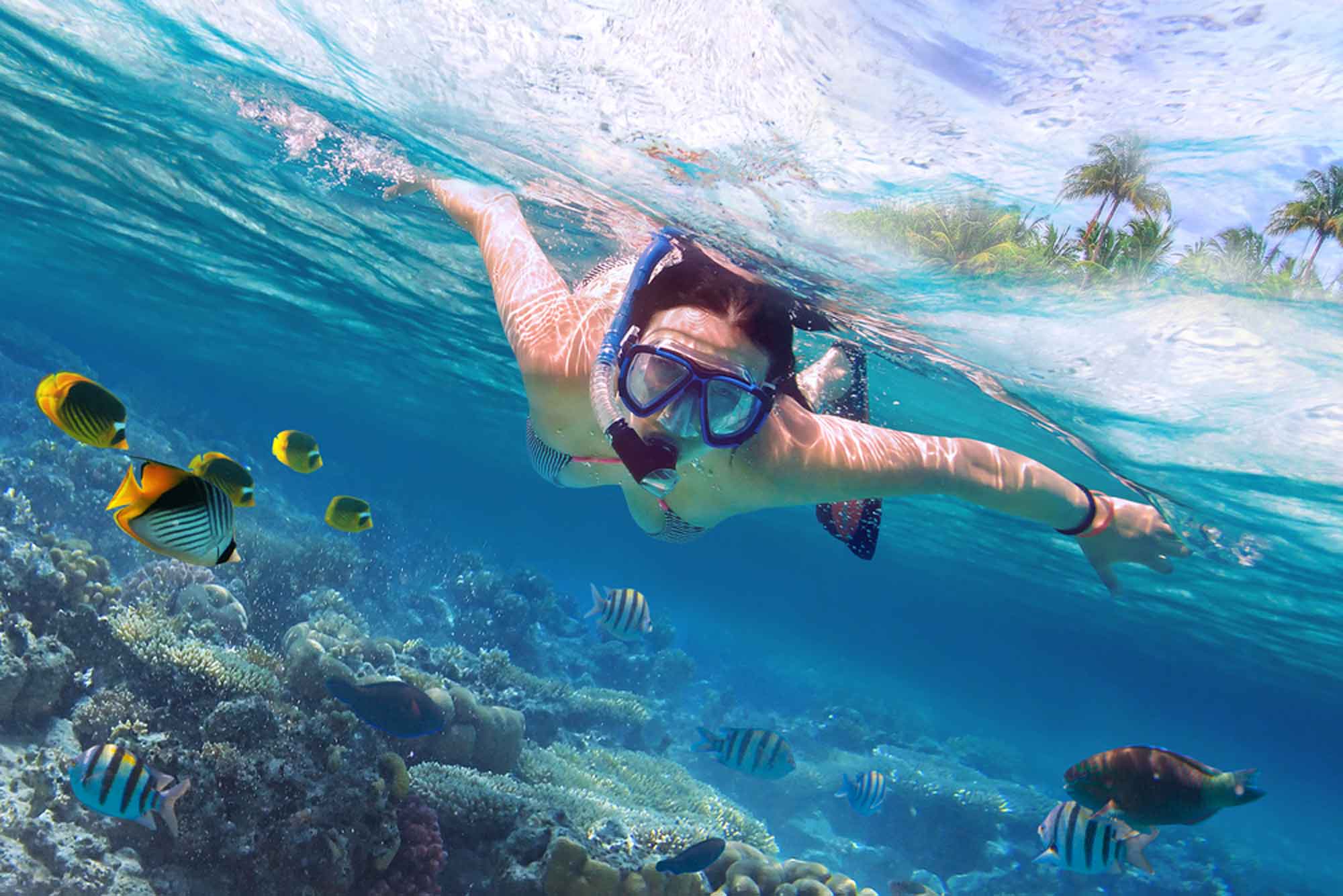 Top 10 Snorkels In The Market Today AquaViews