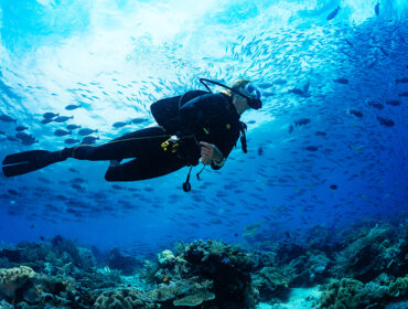 drift diver in the ocean