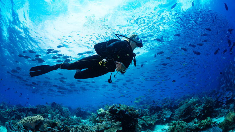 drift diver in the ocean